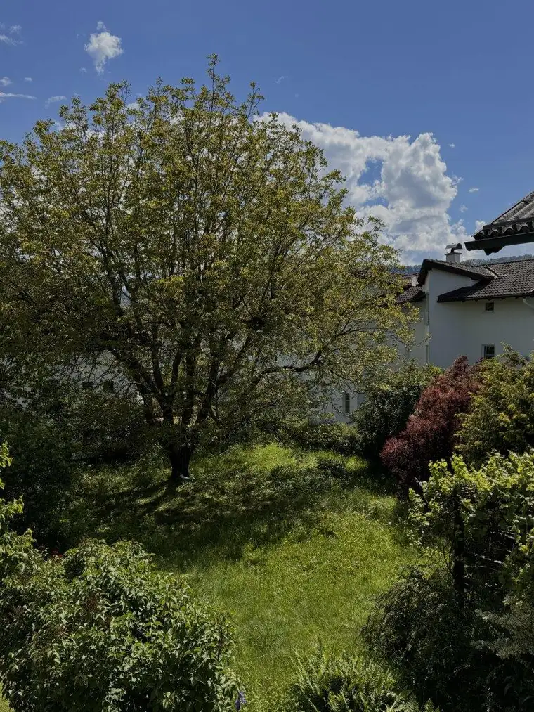 Sehr großzügiges Grundstück mit sanierbarem Altbestand, schön gelegen im beliebten Rif bei Hallein