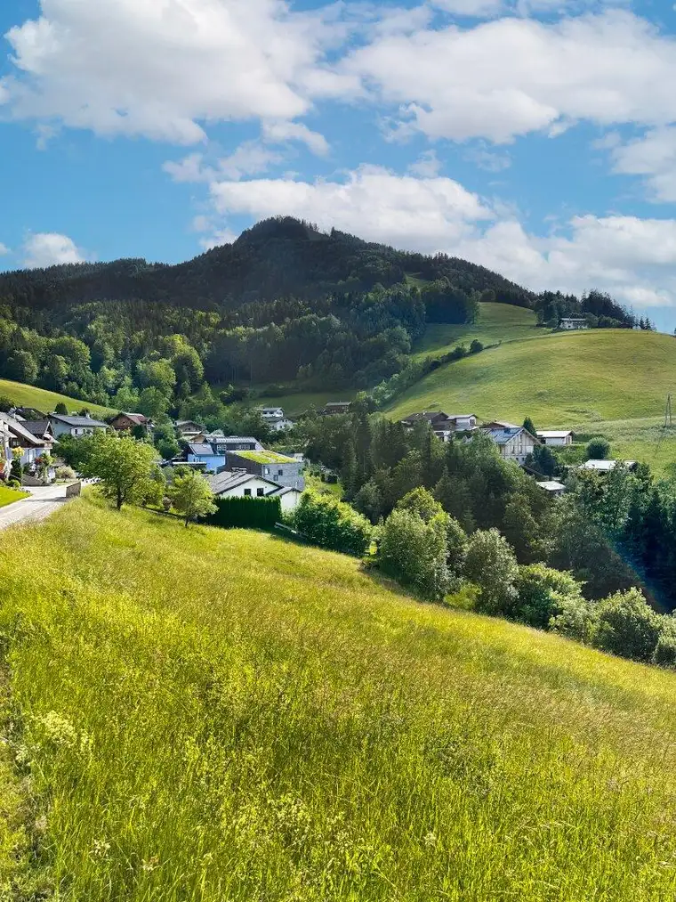 WOHNEN MIT PANORAMA: Baugrundstück in Hallein – Bad Dürrnberg zu verkaufen