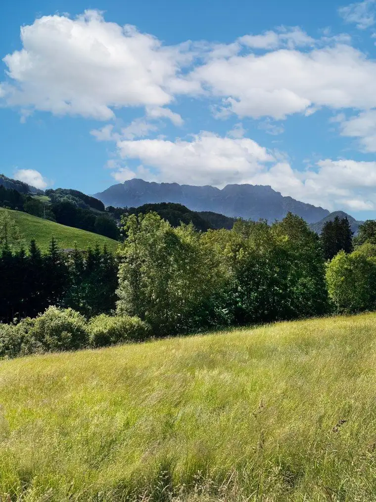 Hallein: Baugrundstück mit Panoramablick in Bad Dürrnberg zu verkaufen