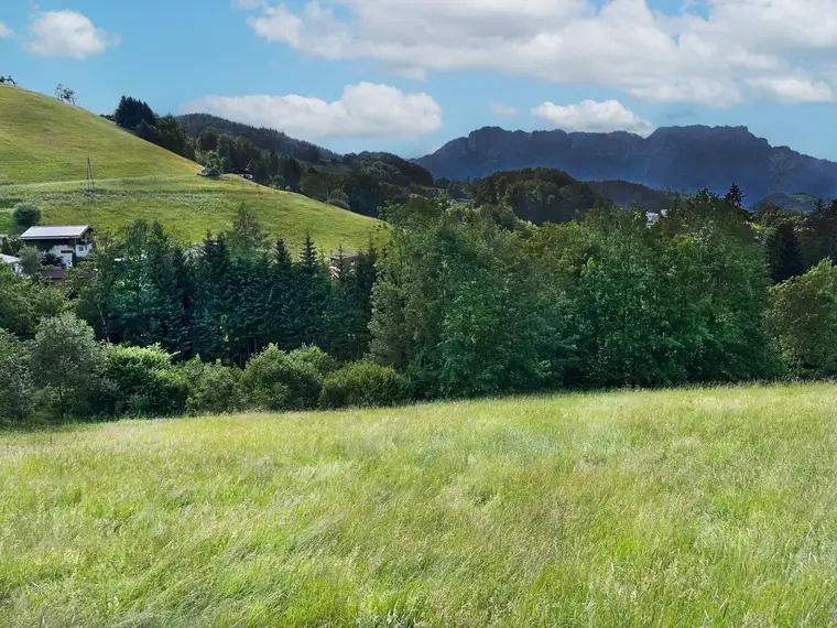Baugrundstück mit Panoramablick in Hallein – Bad Dürrnberg zu verkaufen