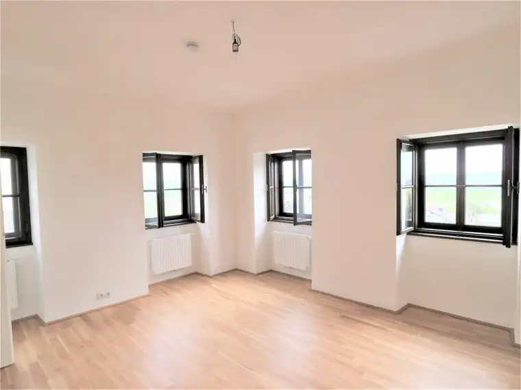 Generalsanierte 2-Zimmer-Wohnung mit Balkon in Sankt Georgen