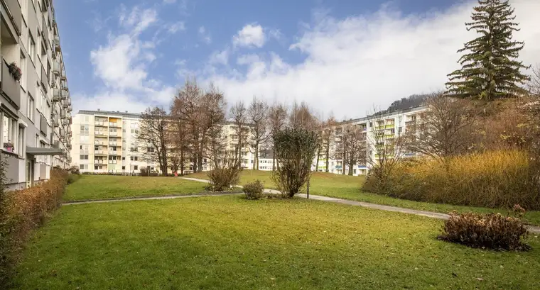 Tom Frenner, Diana Aigner Immobilien e.U.