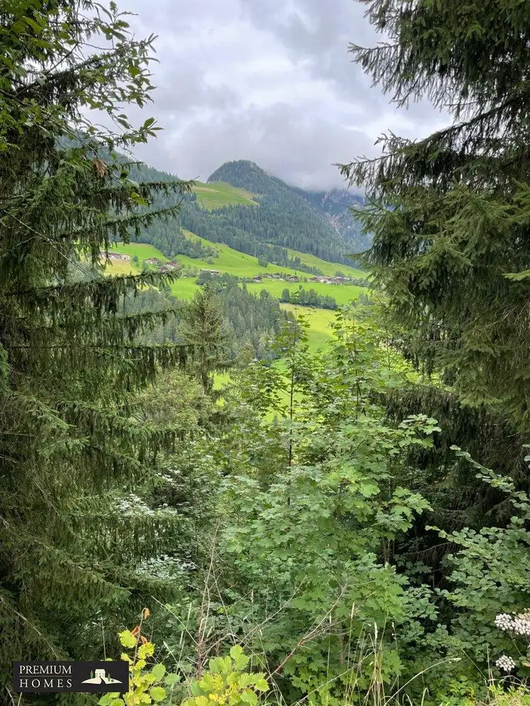WALD - Bereich Reith im Alpbachtal &amp; Alpbach