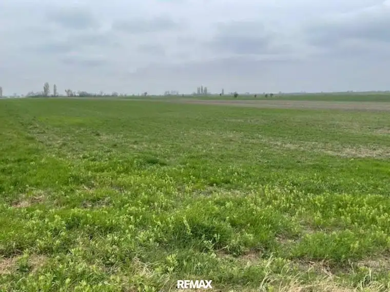 Landwirtschaftliches Grundstück