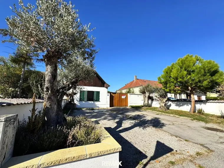 Bauernhaus in Trausdorf mit Potenzial