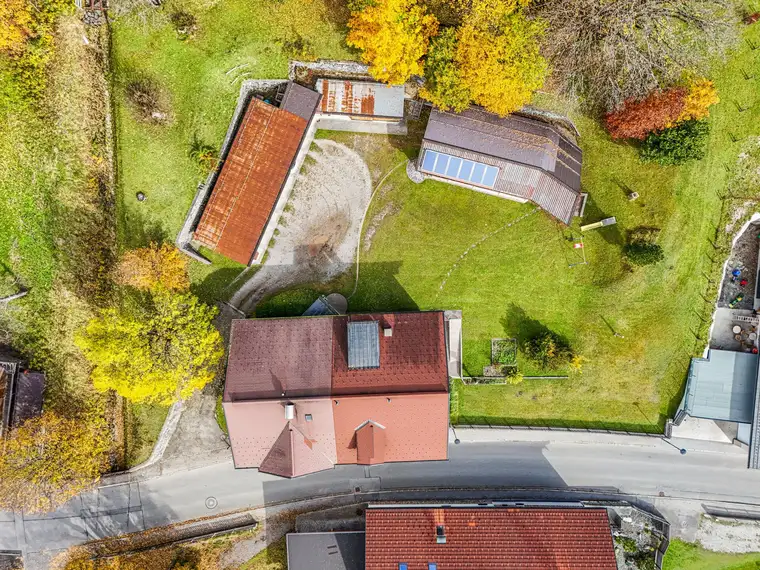 Jakob Köck, Haus & Co Immobilientreuhand GmbH
