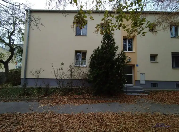 Renovierungsbedürftige 2-Zimmer-Wohnung mit Loggia in Wiener Neudorf - Ihr neues Zuhause!