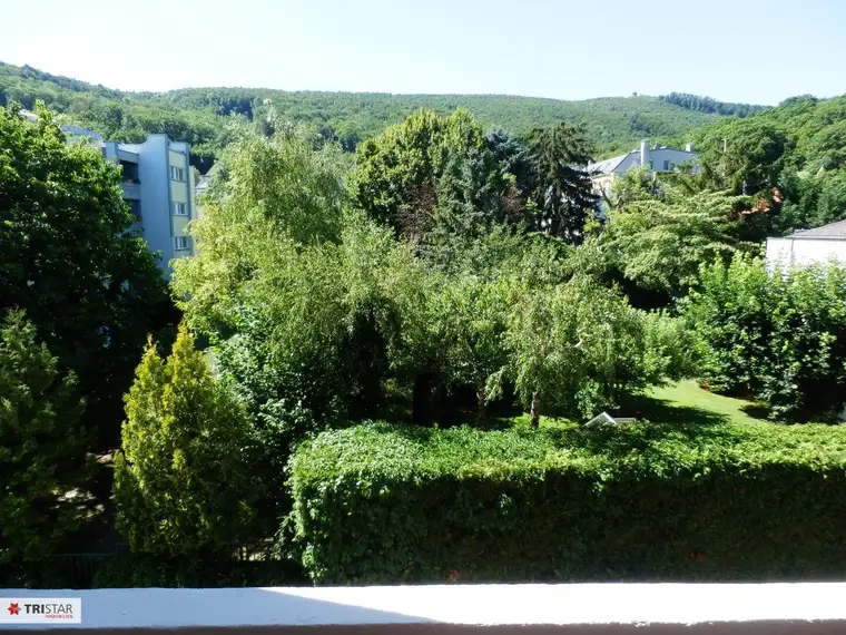 Geräumige Loggia-Wohnung mit schönem Grünblick