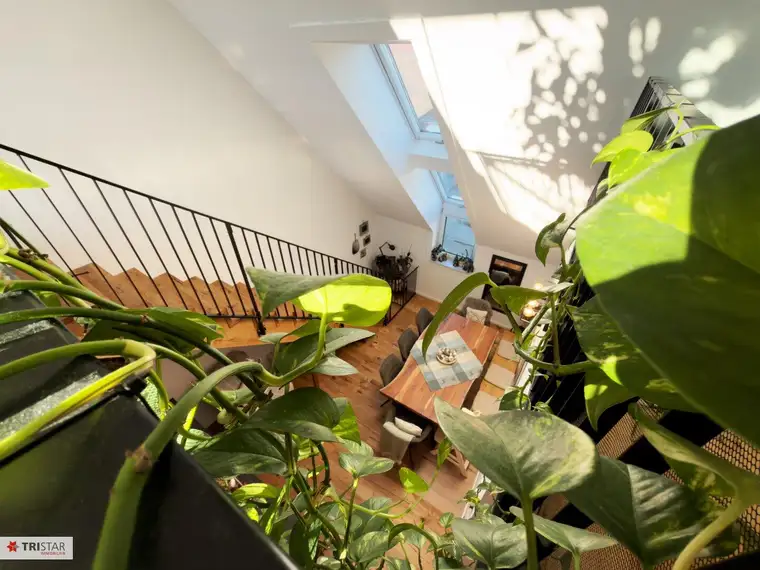 Neuer Preis !! Dachgeschoss-Maisonette mit Galerie &amp; ca. 50 m² Dachterrasse