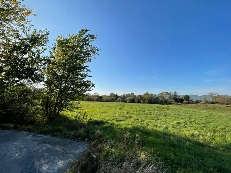 3.700 m² Betriebsgrund! S1 Schwechat-Süd! Perfekt geschnitten!
