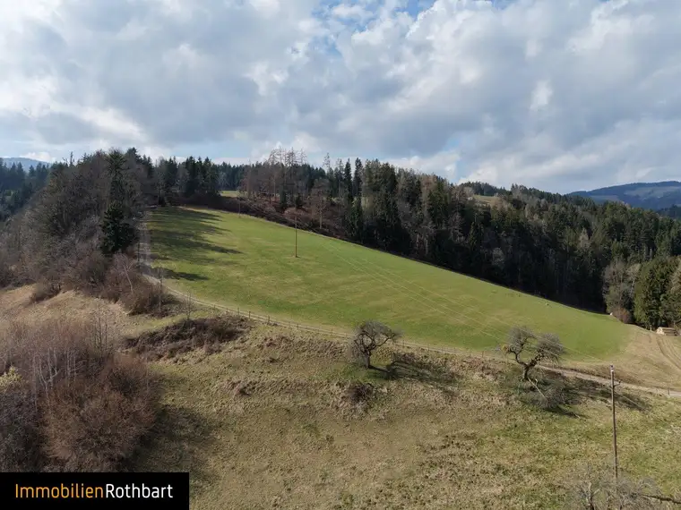 Wiesen und Wald