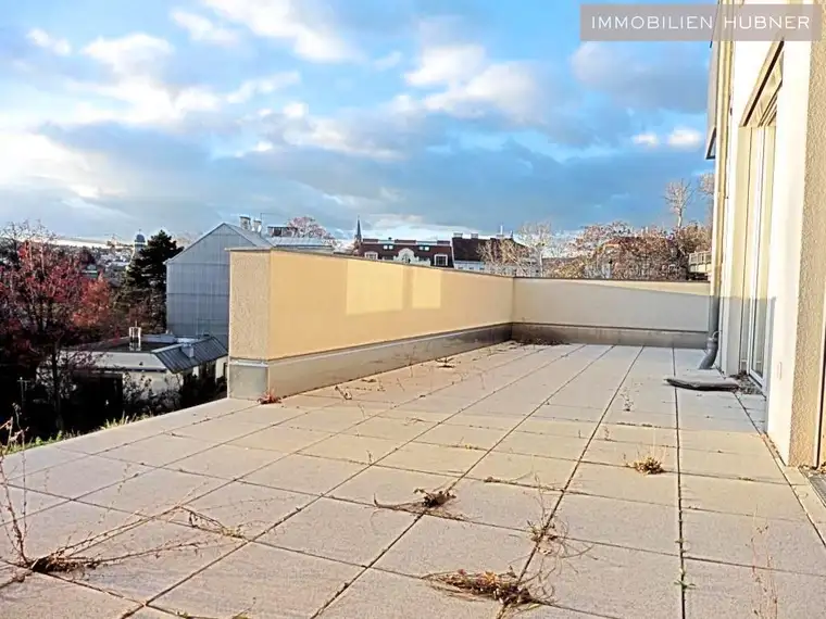 55m² Terrassenfläche!!! Großzügige 3-Zimmer Wohnung in ruhiger Lage!