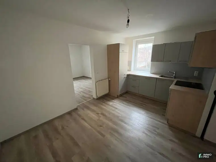 Nette 1-Zimmer-Wohnung in Donawitz zu vermieten