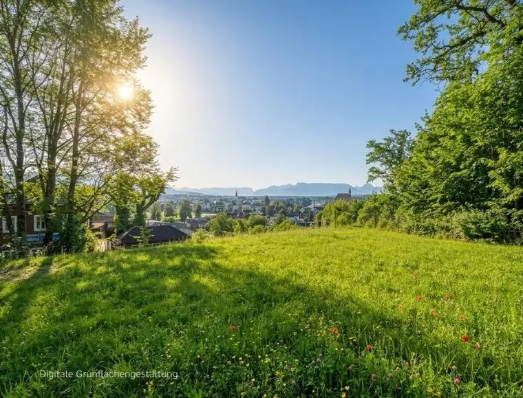 Beste Aussichten!