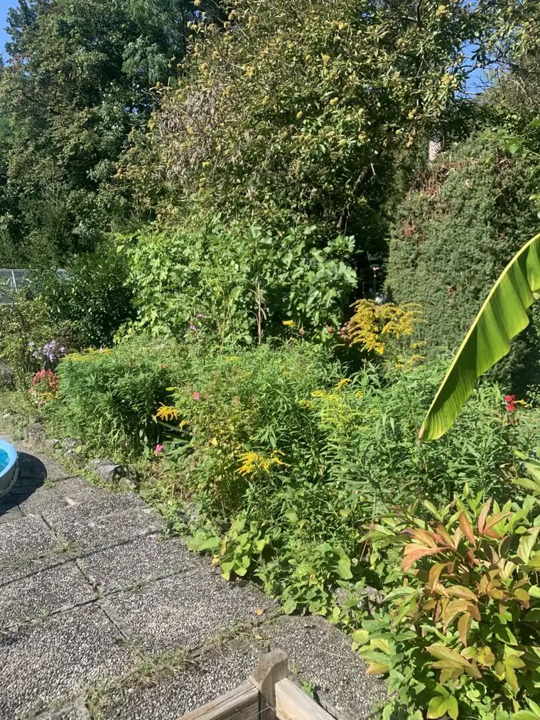 Rarität: Althaus in bevorzugter Wohnlage Mariagrün- V E R K A U F T