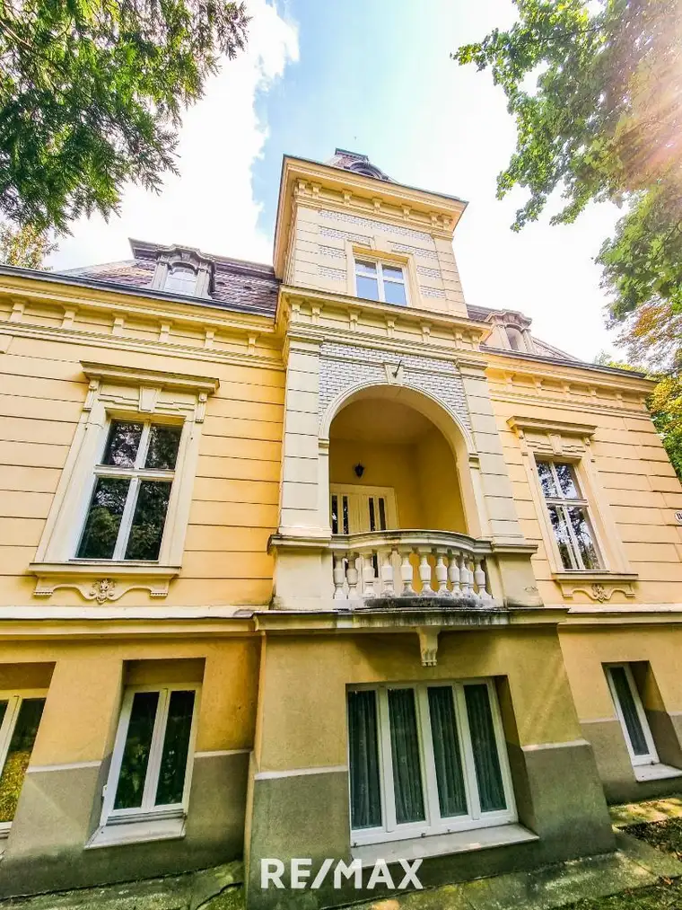 Großzügige Wohnung im Stil-Altbau!