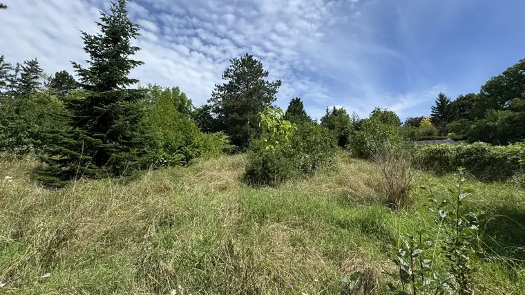 Seltenes Bauträgergrundstück mit Bestandshaus – 4.356 m², 4–5 Bauparzellen möglich, Klosterneuburg