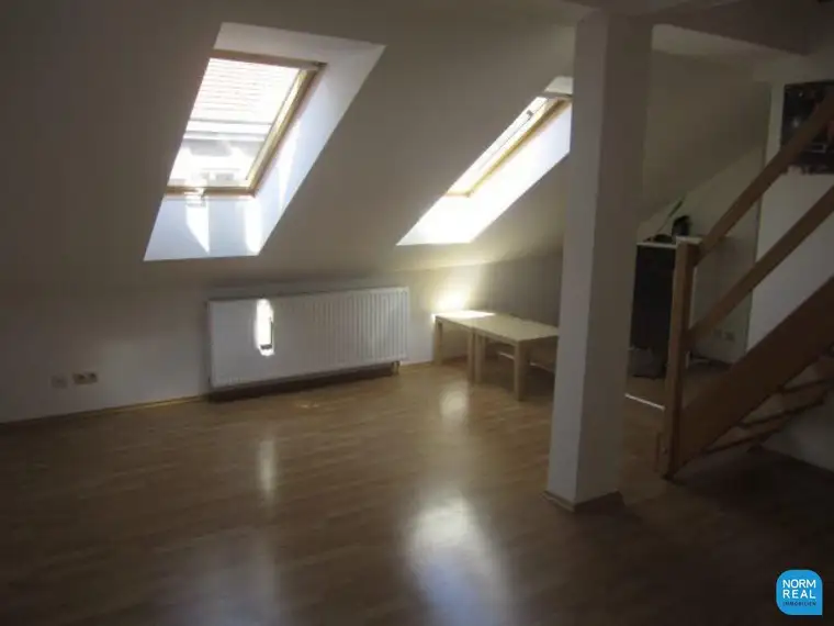 Single Dachloft mit Terrasse für Sportler