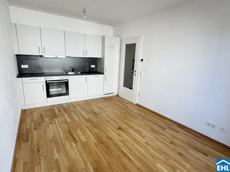 Moderne Innenstadtwohnung beim zentralen Stadtteil Gries