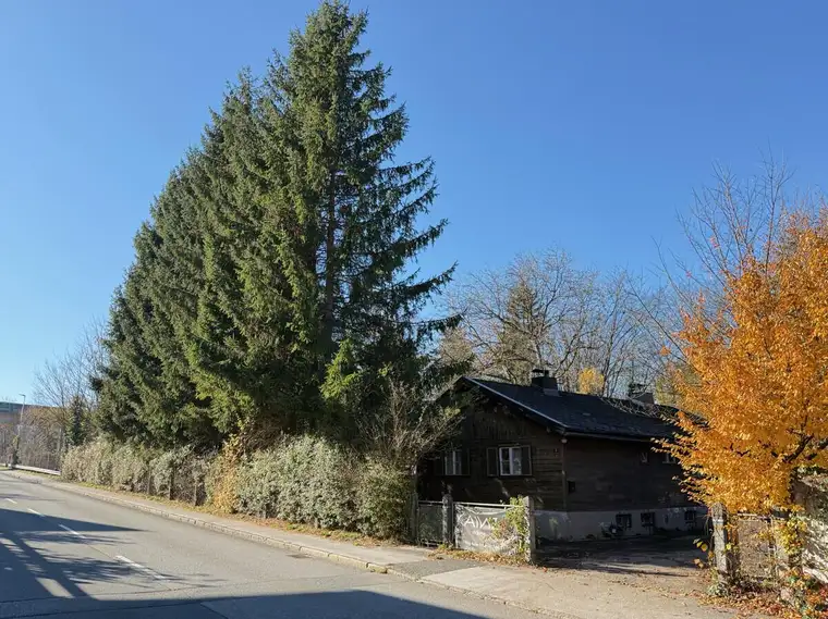 Großes Grundstück mit Altbestand und Perspektive auf Mischgebiet im Herzen von Kirchbichl