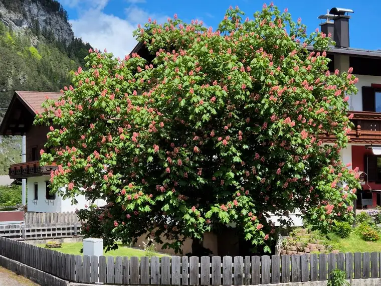 Tiroler Einfamilienhaus mit Wintergarten sehr sonnig