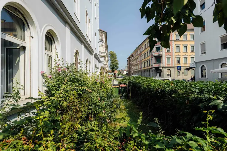 8020 - Altbau-Liebhaber aufgepasst! Wer haucht dieser Altbauwohnung neues Leben ein?