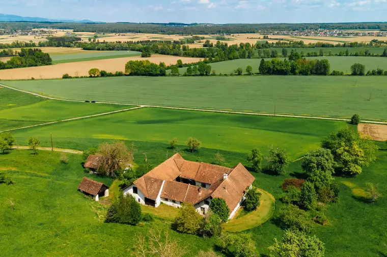 Vierkanter-Rarität - ca. 16 Hektar Landwirtschaft mit Teich in Ilz in der Oststeiermark - Schmuckstück zum Wachküssen!