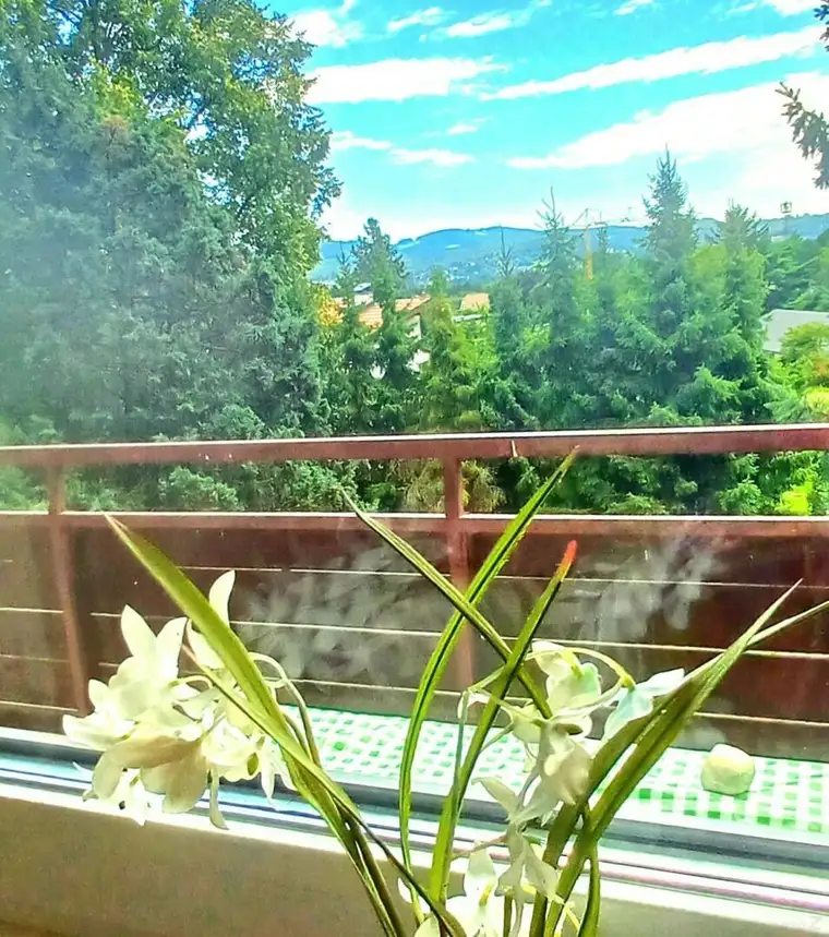 8051 Graz: Traumhafte Fernsicht von der südseitigen überdachten Loggia, Eigenes Gartenabteil