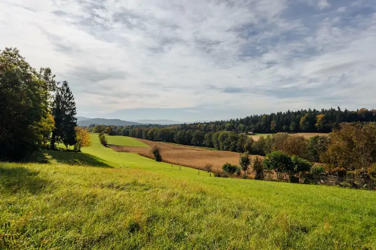 Bauerwartungsland mit Weganteil im Zentrum von Hengsberg