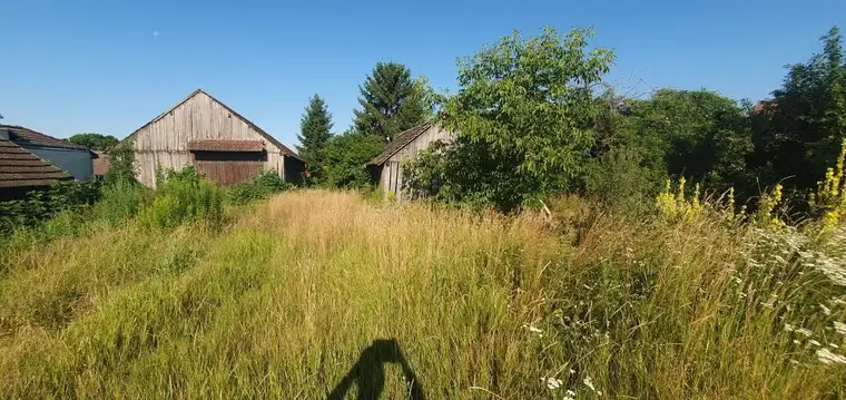 3701 Gr.Weikersdorf-Nähe - großer Baugrund !