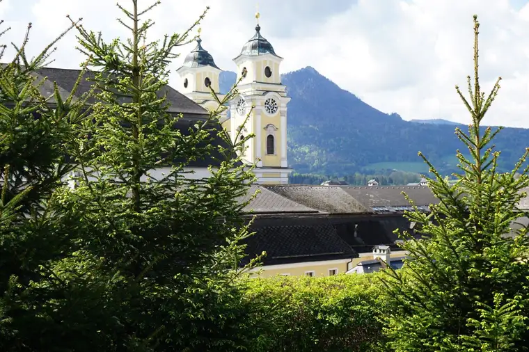 Gemütliche 2 Zimmer Gartenwohnung mit sonniger Terrasse in Mondsee