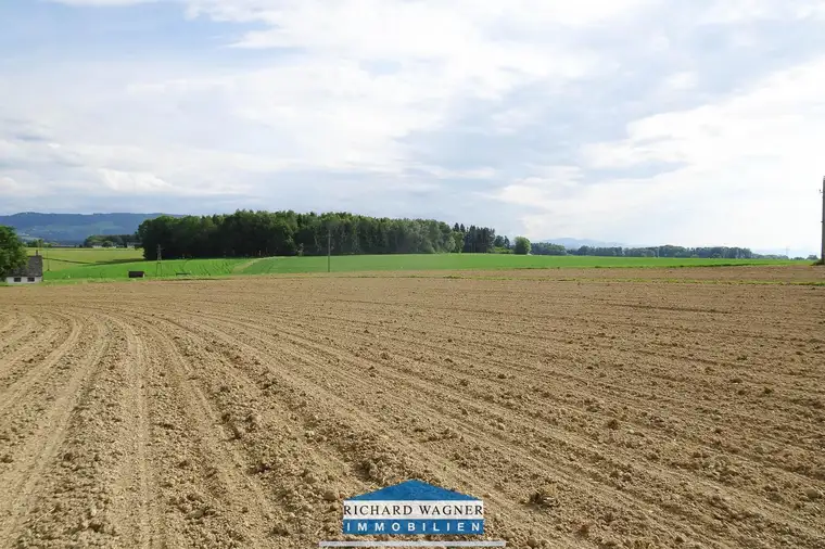 1,22 ha Wirtschaftsgrund mit guter Bonität