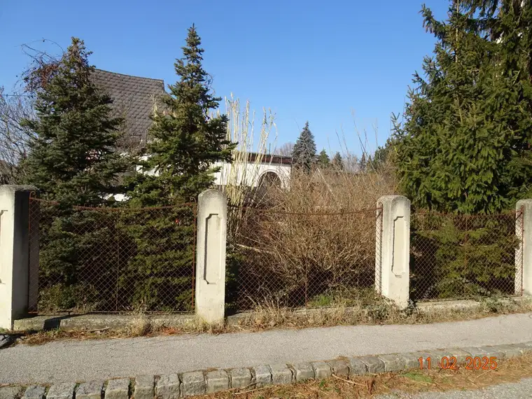 Baugrund in St. Andrä-Wördern