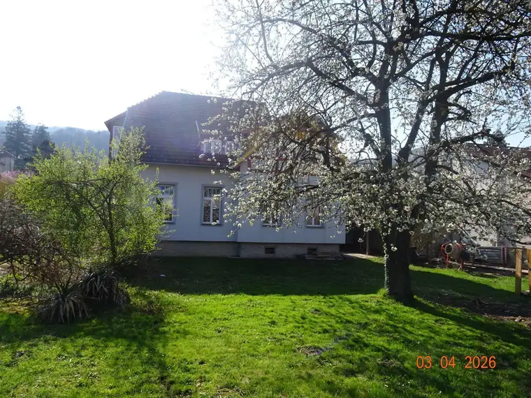 Einmaliger Baugrund mit Stilvilla in St. Andrä-Wördern