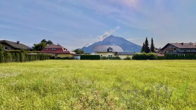 Premium-Baugrundstück in Anif - Exklusivität trifft Lage