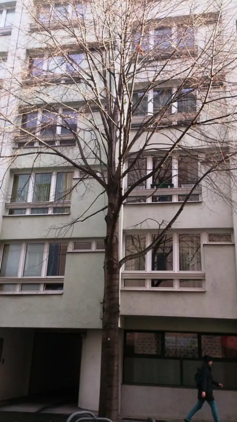 WIEN V - ZIEGELOFENG. 20-22, Geschäftsräumlichkeit, LOKAL G, 1000/00001590/00002003