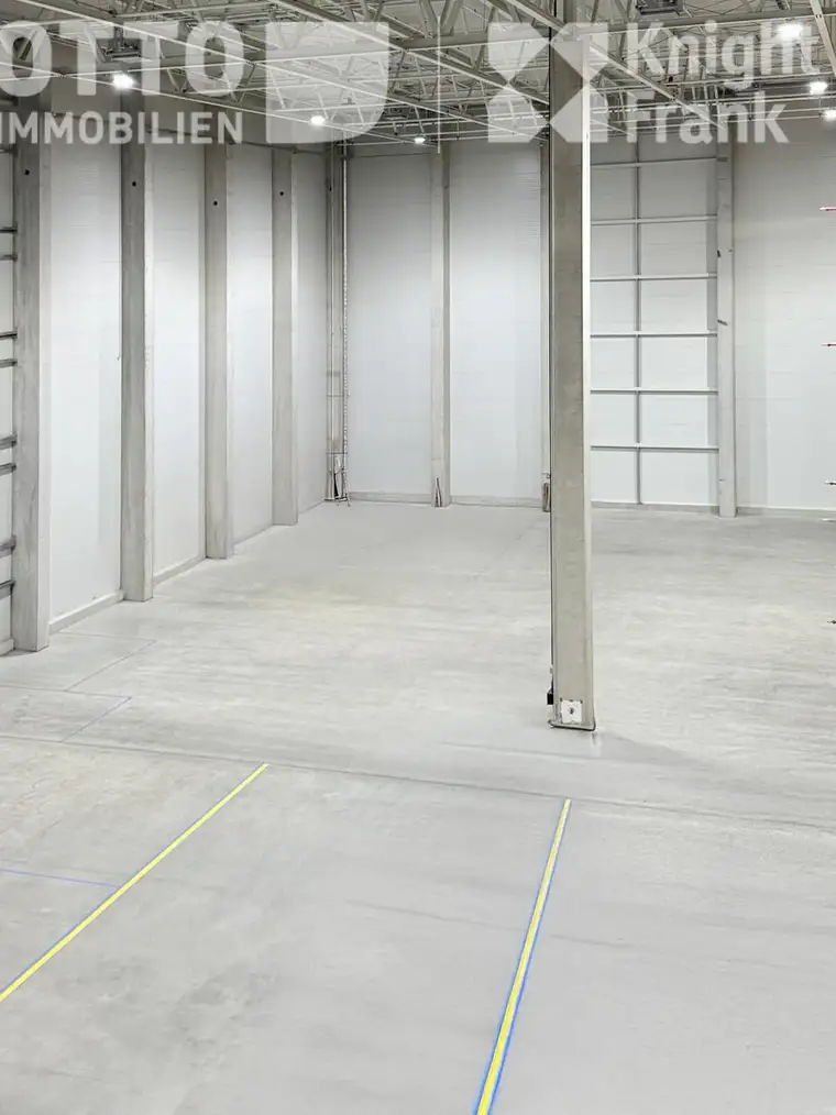 Moderne Lagerfläche ideal für ruhige Paletteneinlagerung