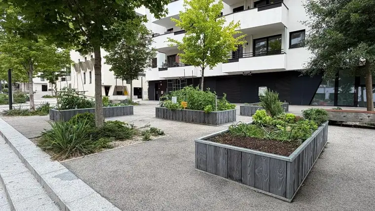 Neubau, 4 Zimmer - absolute Grünruhelage mit direktem Blick in den Otto-Benesch-Park