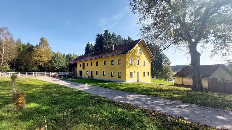 Oase der Ruhe: Reiterhof in Oberösterreich
