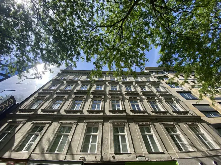 Bürofläche in sehr gutem Zustand - Toplage Mariahilfer Straße - Hofterrasse