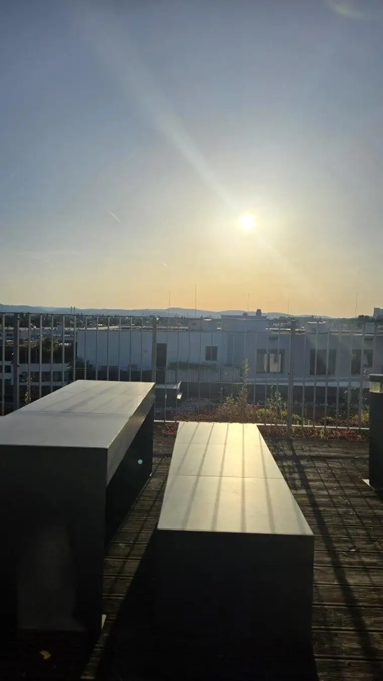 Single-/Pärchenhit mit Terrasse - Herrliche Gemeinschafts-Dachterrasse - Inkl. Garagenplatz