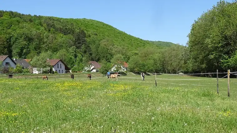 GEPFLEGTES SONNIGES EIGENHEIM IN ALLAND/SACKGASSE!