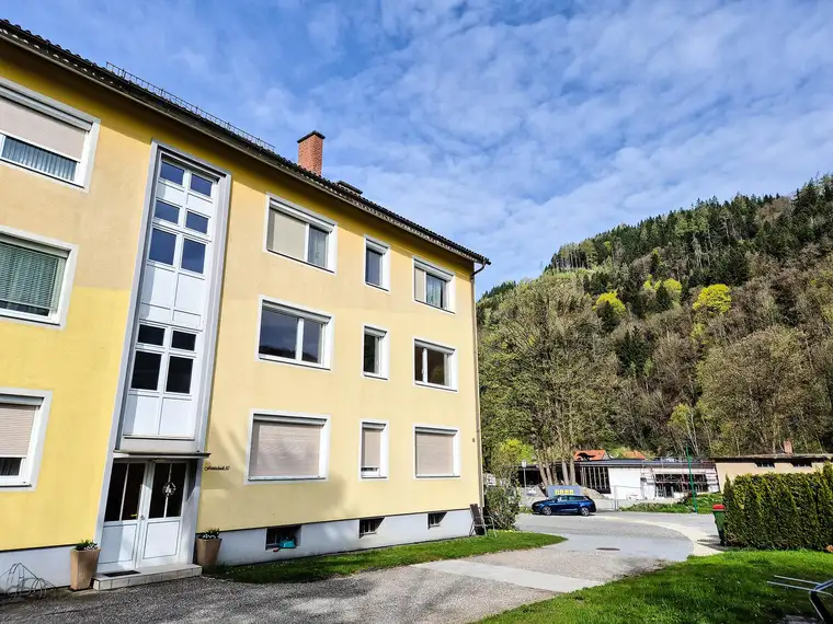 Große Wohnung mit Garten und Garage!