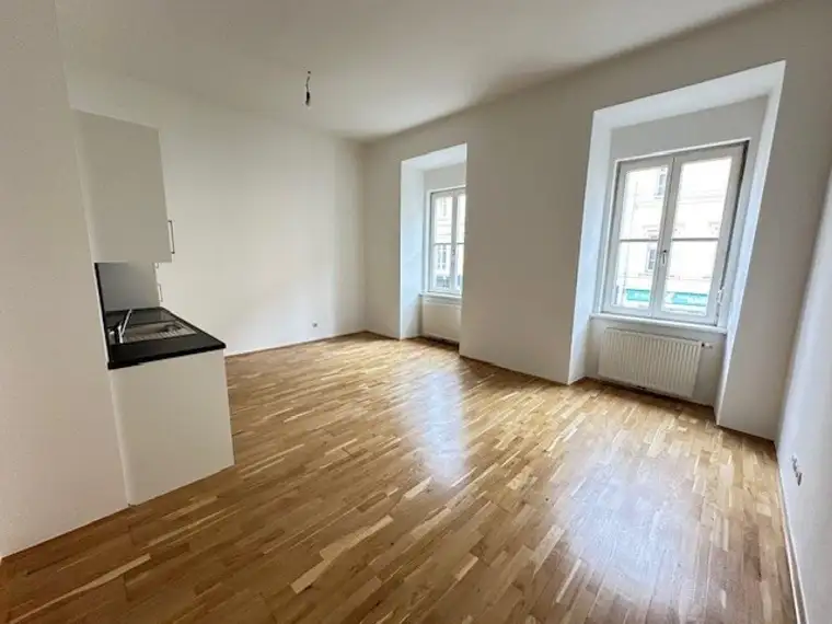 PROVISIONSFREI - Zentrum - 52m² - großzügige 2-Zimmer-Wohnung - neue Küche - Innenstadtlage