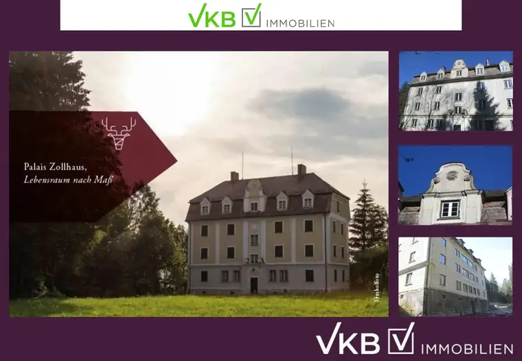 PALAIS ZOLLHAUS zur Revitalisierung