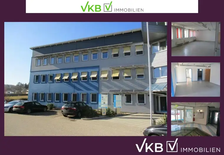 Büroflächen im Technologie- und Innovationszentrum in St. Florian -EG Top B2,3,4,5
