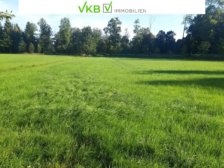 4676 AISTERSHEIM: Drei landwirtschaftlich genutzte Grundstücke zu verkaufen!