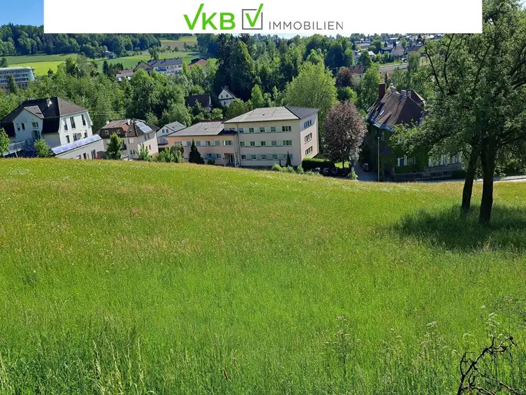 Bad Schallerbach: NEUER PREIS Großflächiges Baugrundstück (6395m²) in Zentrumslage zu verkaufen!