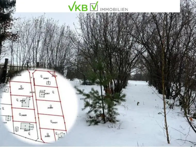 Attraktive Bauparzelle in Spattendorf! – Gemeinde Alberndorf in der Riedmark (GST 2438/2, 2437/3)