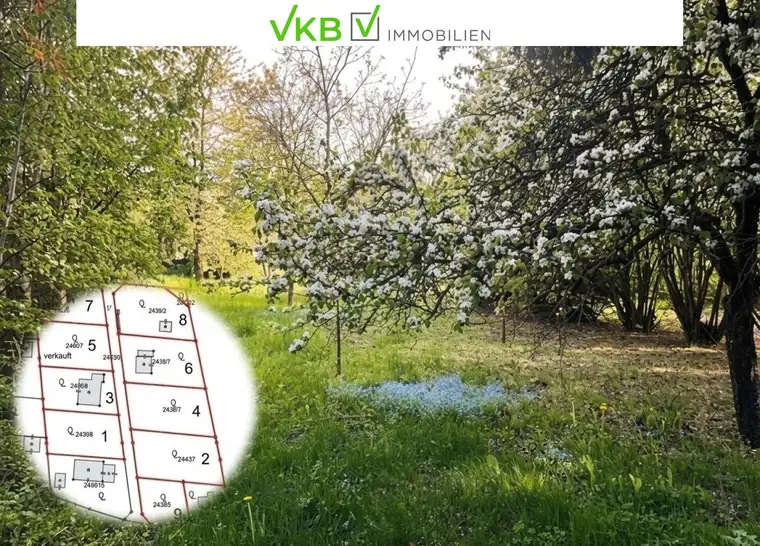 Großzügiges Grundstück nähe Gallneukirchen! - Gemeinde Alberndorf in der Riedmark (GST 2443/1)